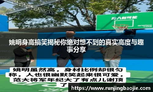bellbet艾佛森官方网站